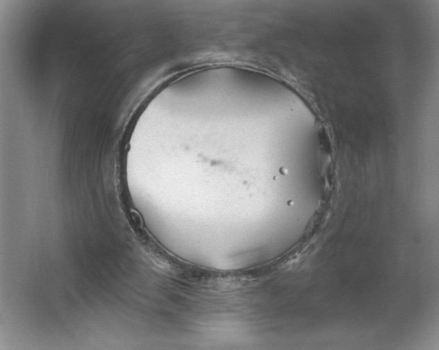 X0000062140103200512301538