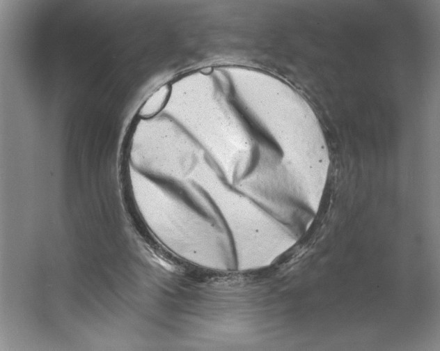 X0000062140104200512301537