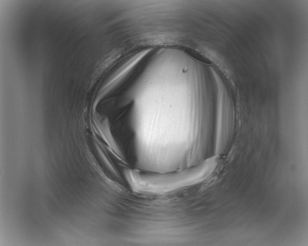 X0000062140105200512301537