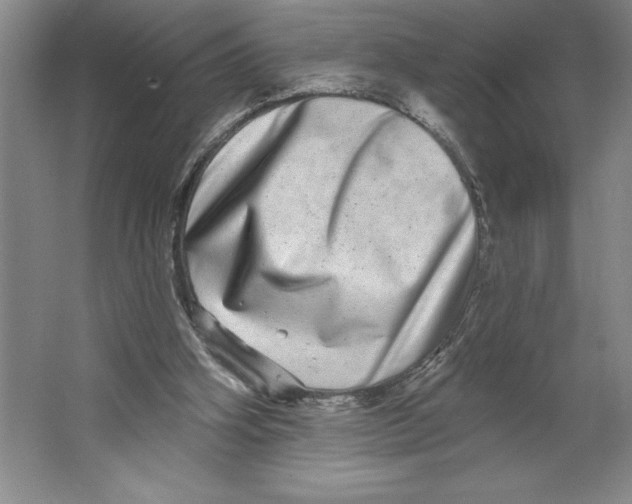 X0000062140106200512301537