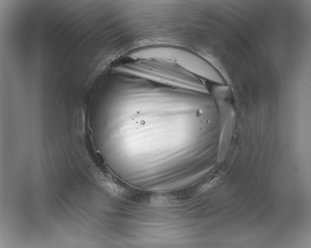 X0000062140109200512301537