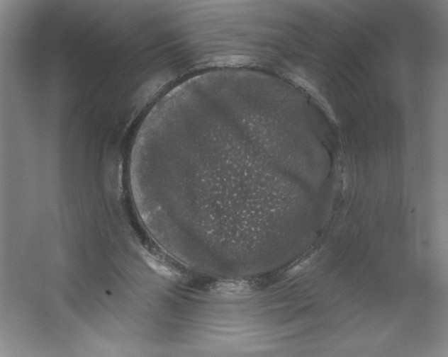 X0000062140110200512301537