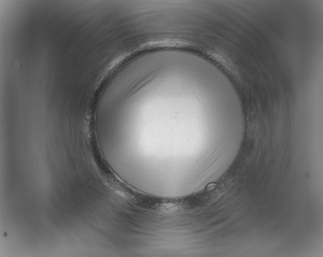 X0000062140111200512301537