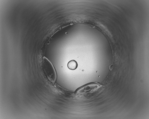 X0000062140113200512301537