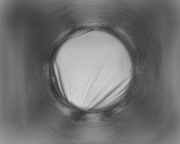 X0000062140115200512301537