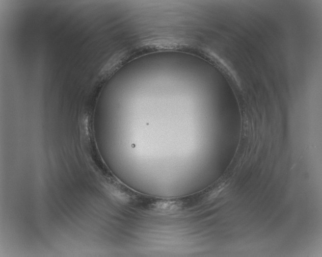 X0000062140117200512301537