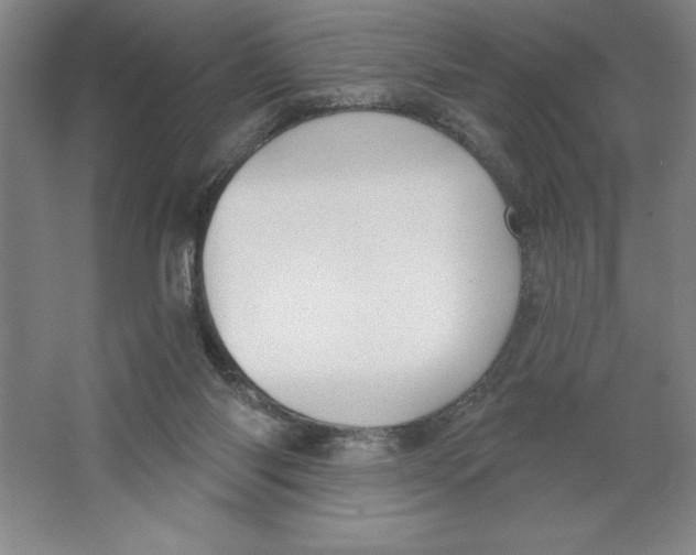 X0000062140118200512301537