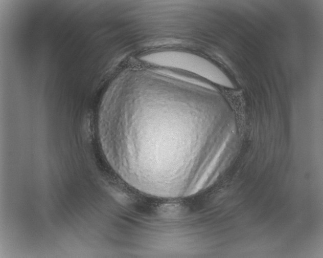 X0000062140119200512301537