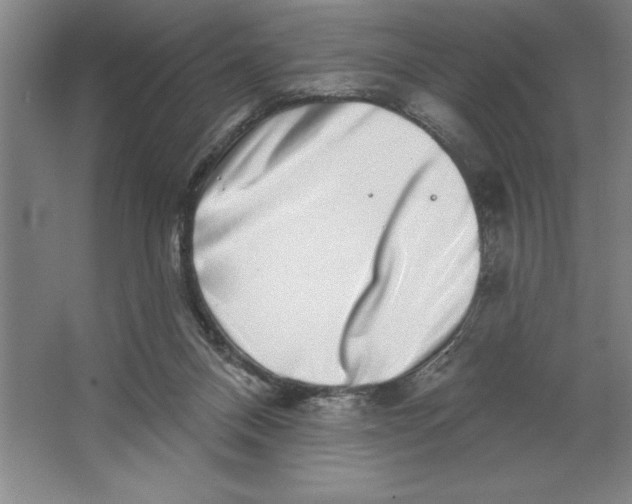 X0000062140120200512301537