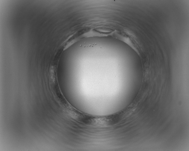 X0000062140121200512301537