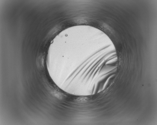 X0000062140124200512301537