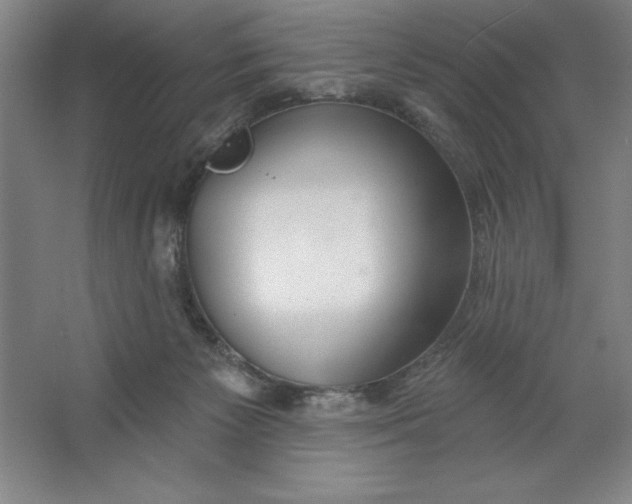 X0000062140125200512301537