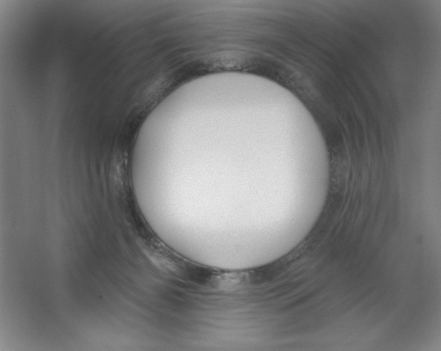 X0000062140126200512301537