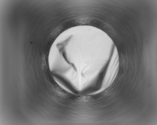 X0000062140128200512301537