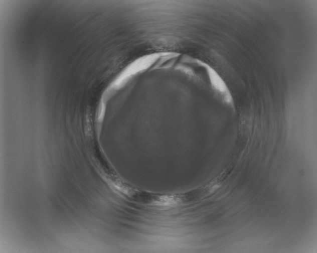 X0000062140130200512301537