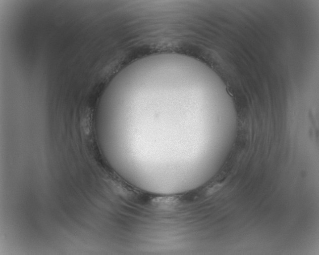 X0000062140133200512301537