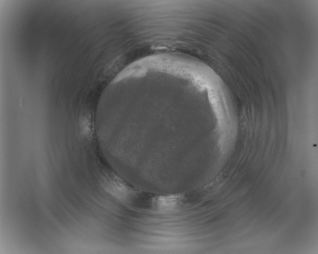 X0000062140134200512301537