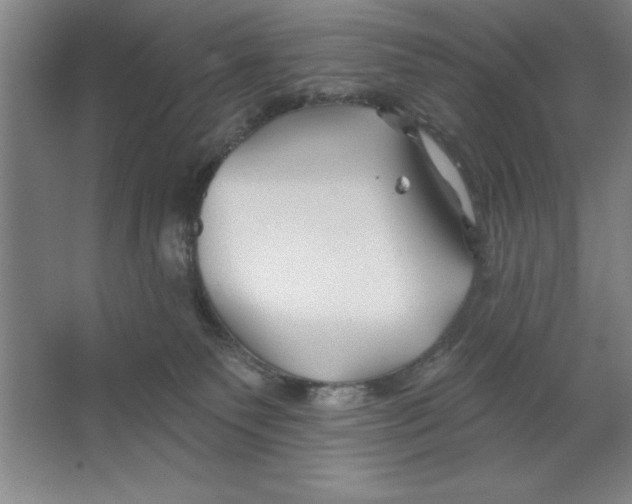 X0000062140135200512301537