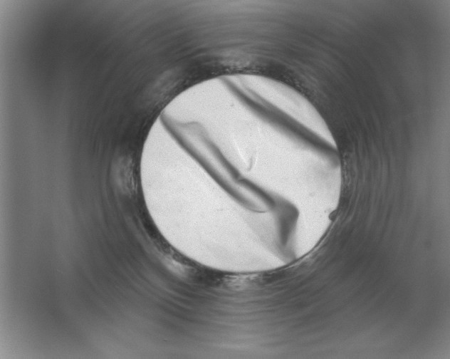 X0000062140136200512301537