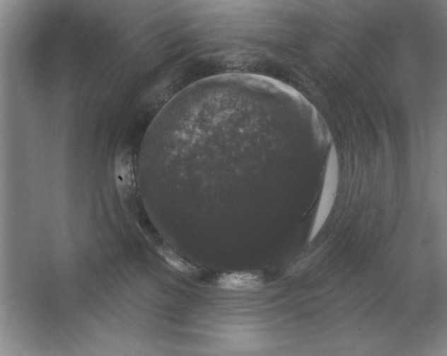 X0000062140137200512301537