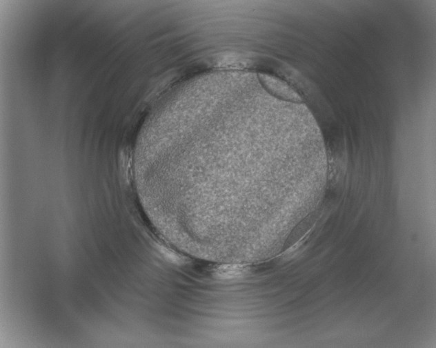 X0000062140142200512301537