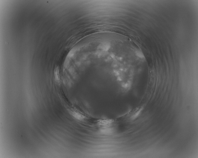 X0000062140143200512301537