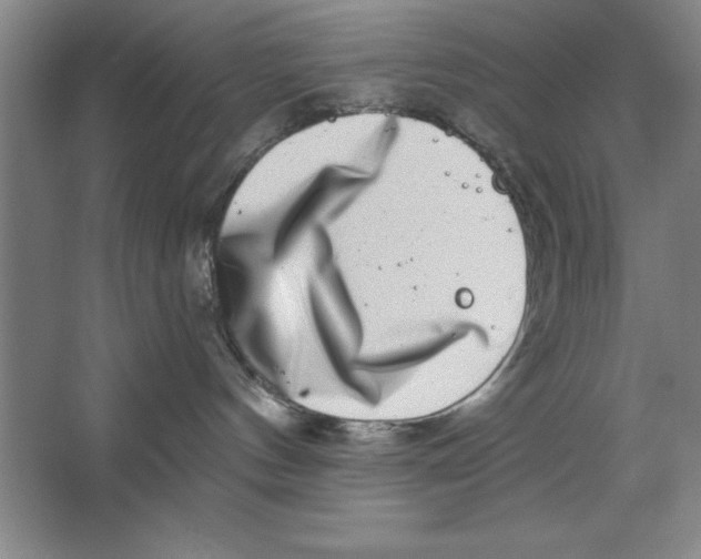 X0000062140144200512301537