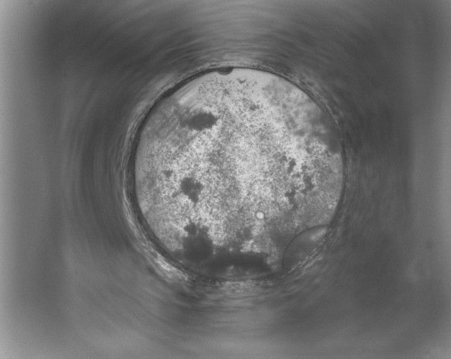 X0000062140145200512301536