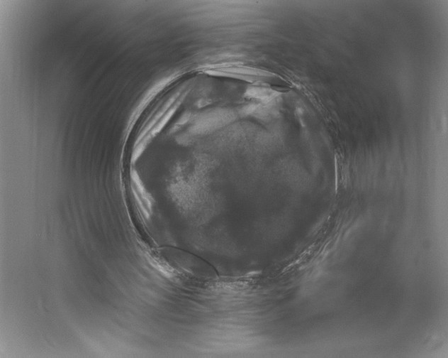 X0000062140147200512301536