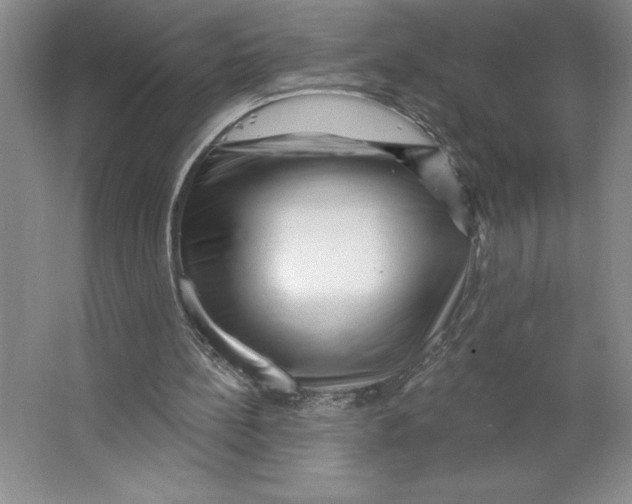 X0000062140148200512301536