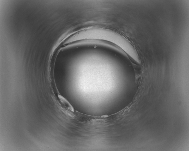 X0000062140150200512301536