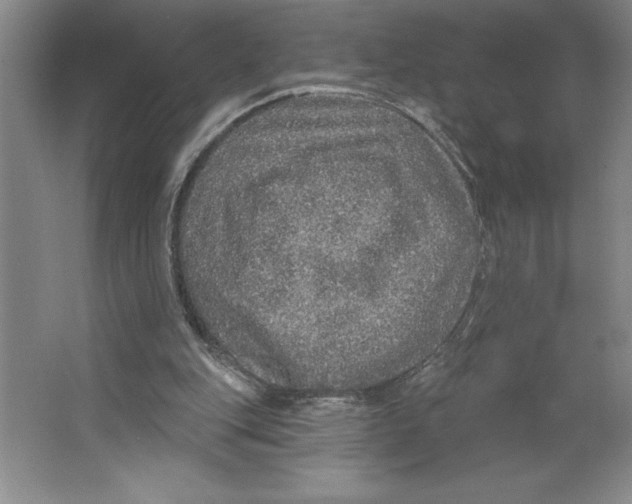 X0000062140151200512301536