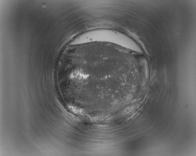 X0000062140154200512301536