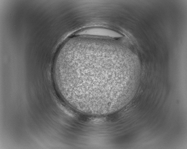 X0000062140155200512301536