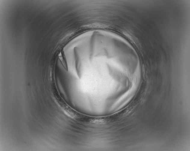 X0000062140157200512301536