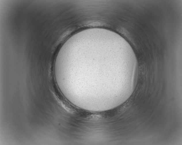 X0000062140159200512301536