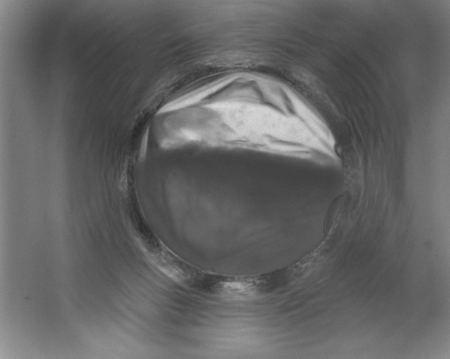 X0000062140167200512301536