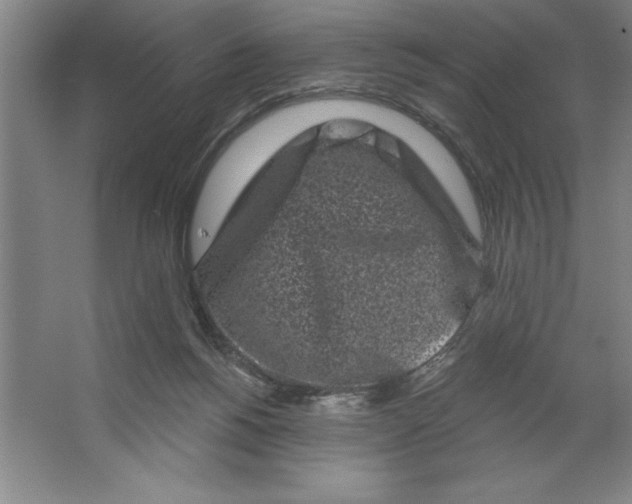 X0000062140168200512301536