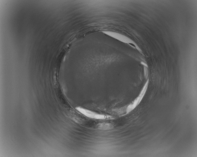 X0000062140169200512301536