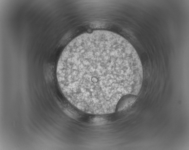 X0000062140171200512301536