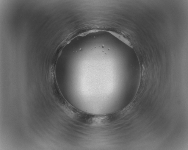 X0000062140172200512301536