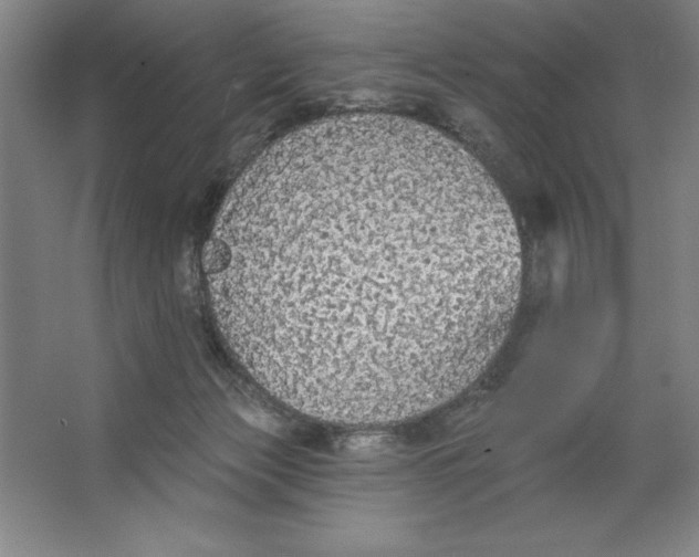 X0000062140173200512301536