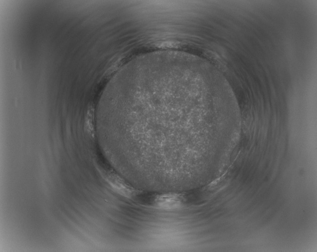 X0000062140175200512301537