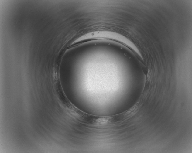 X0000062140176200512301537