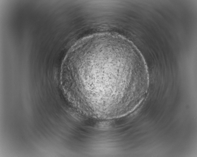 X0000062140178200512301537