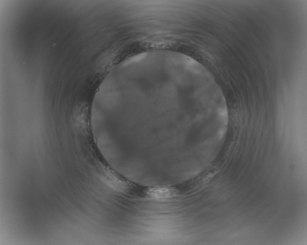 X0000062140181200512301537