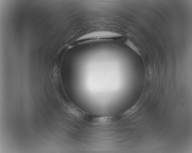 X0000062140184200512301537