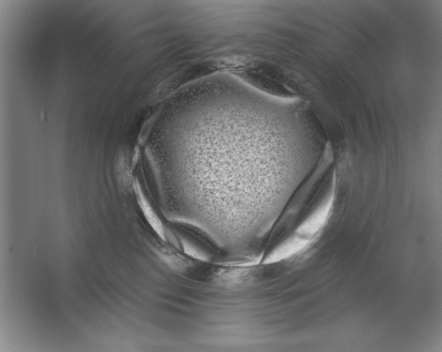 X0000062140186200512301537