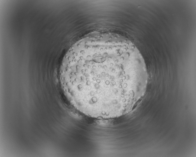 X0000062140187200512301537