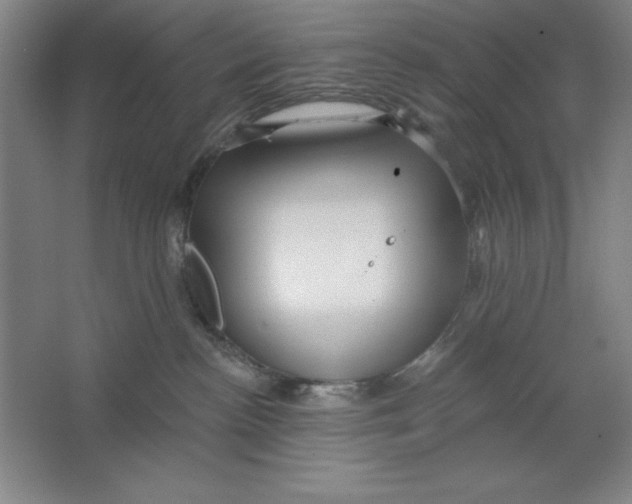 X0000062140188200512301537